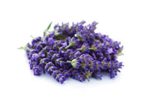 Lavender, English 10ml