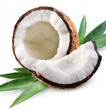 Fractionated Coconut 100ml
