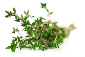 Thyme,Red 50ml