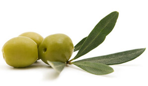Olive Oil 50ml