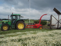 Ready to harvest Ready to harvest